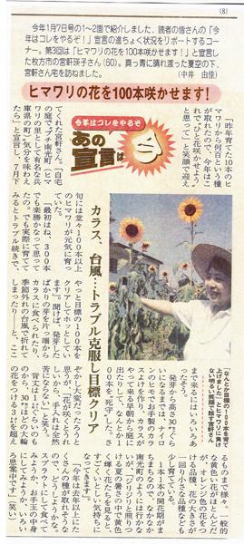 060801瑛子・読売新聞記事・ヒマワリの花を100本咲かせます.jpg